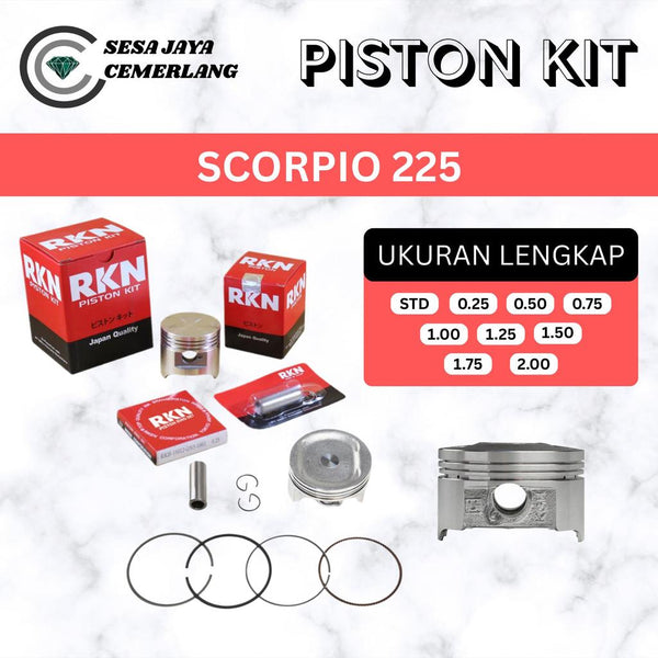 PISTON KIT RKN Yamaha Scorpio 225 Scorpio 225 STD 25 50 75 1.0